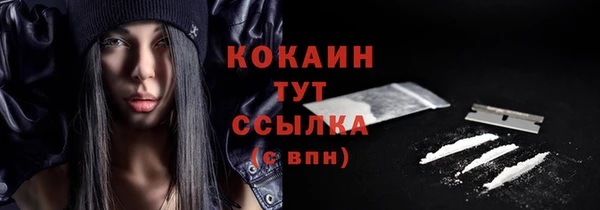 СК Волосово