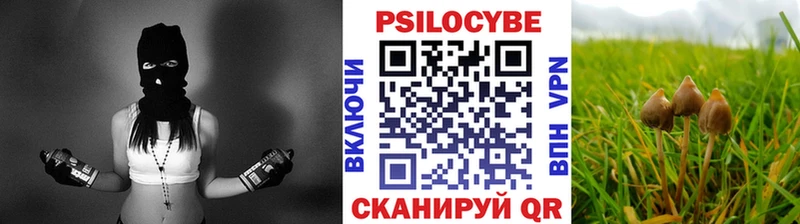 Купить закладки  Нелидово  Галлюциногенные грибы мухоморы 